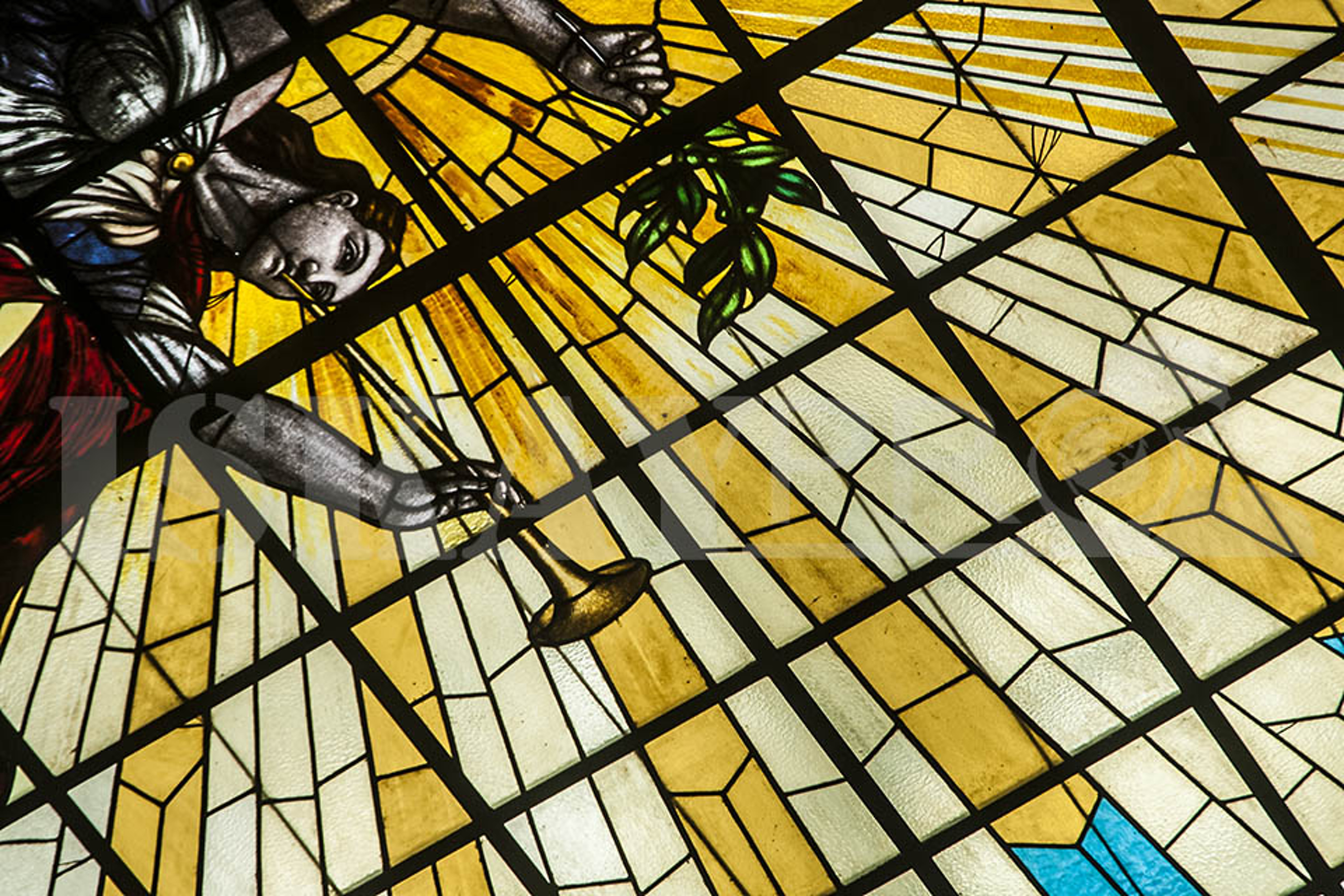 CONGRESO 05 CONGRESO 05