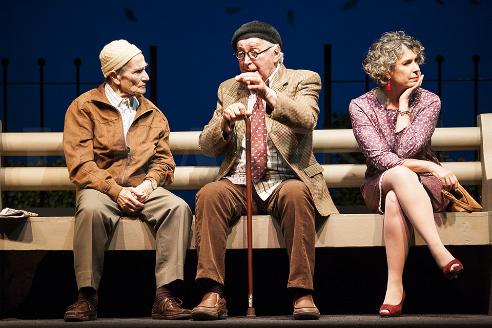 OBRA VIVIR ES FORMIDABLE CATTONE 33