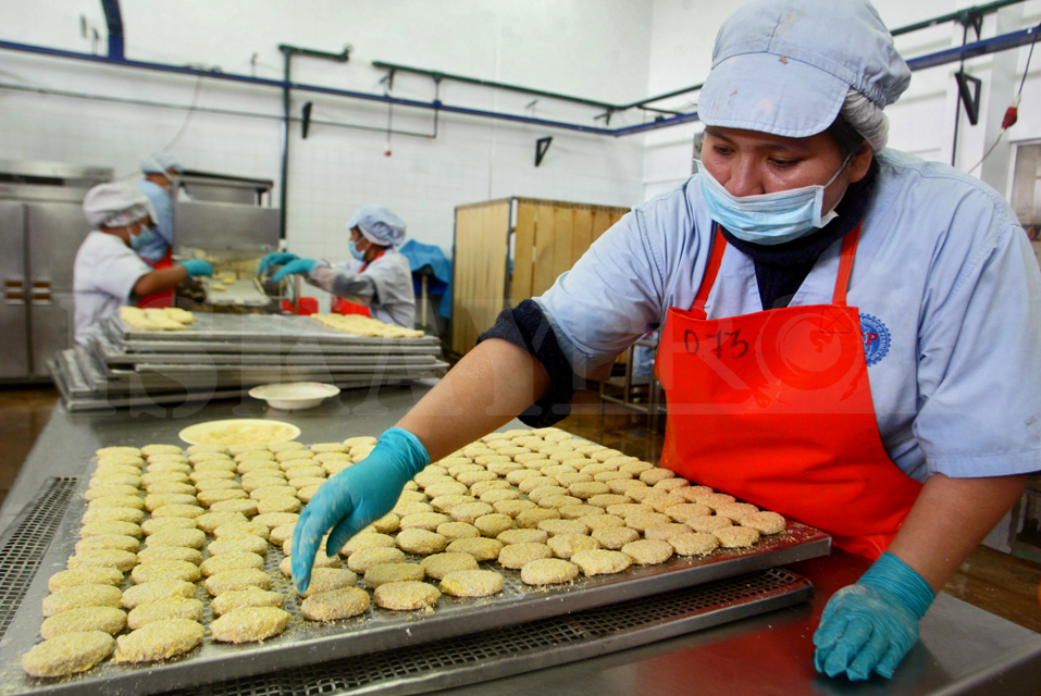 Procesamiento anchoveta 2